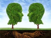 ERP-Systeme sichern umweltbewusstes Handeln Nachhaltiges ERP-System