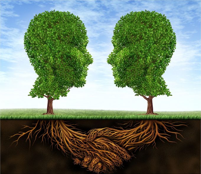 ERP-Systeme sichern umweltbewusstes Handeln Nachhaltiges ERP-System