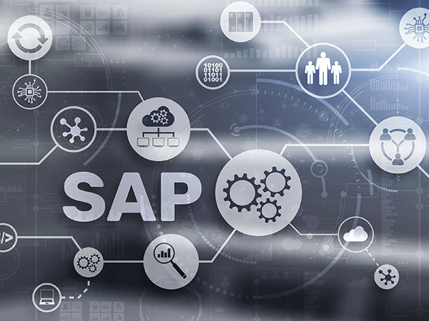 Ein SAP-Add-on hält die Stammdaten konsistent