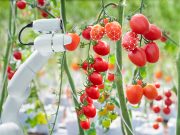 Green Manufacturing: nachhaltig digitalisieren