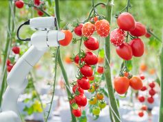 Green Manufacturing: nachhaltig digitalisieren