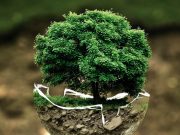 Fertiger suchen 2023 nachhaltige Lieferketten