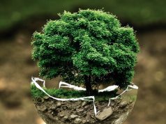 Fertiger suchen 2023 nachhaltige Lieferketten