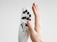 Für Chatbots sind immer Menschen verantwortlich Chatbots