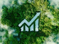 PwC rät bei Künstlicher Intelligenz zum Schnellstart Global Investor Survey PwC