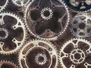 Die BPM- und GRC-Trends 2025: Prozessmanagement und Governance neu gedacht BPM- und GRC-Trends 2025