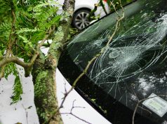 Intelligente Bots automatisieren Schadensmeldungen Intelligente Bots