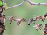 Erfolgreich durchs Software-Projekt: Proaktive Teamentwicklung Proaktive Teamentwicklung in Software-Projekten