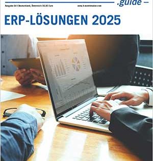ERP-Guide 2025