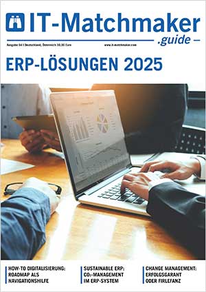 ERP-Guide 2025