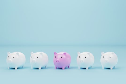 Finanz- und Rechnungswesen