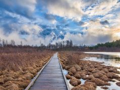 Erfolgreich Mixen: Hybrid-Cloud und Multi-Cloud im Praxiseinsatz Multi-Cloud und Hybrid-Cloud