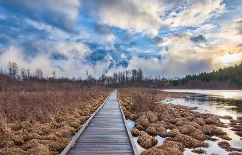 Multi-Cloud und Hybrid-Cloud