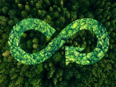 Digitale Produktpässe: Nachhaltigkeit operativ umsetzen digitale Produktpässe