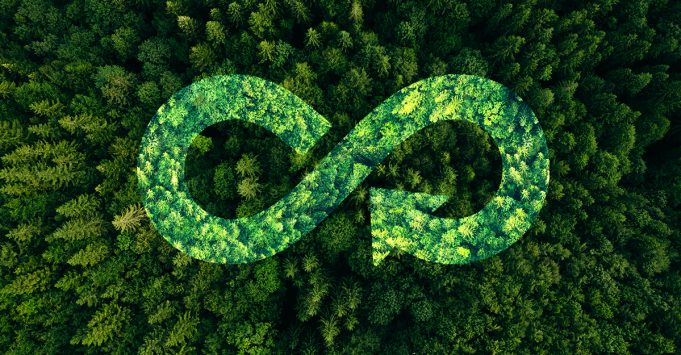 Digitale Produktpässe: Nachhaltigkeit operativ umsetzen digitale Produktpässe