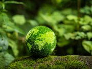 GreenOps und Business Software: Wie ERP & Co. den IT-Betrieb nachhaltig machen Greenops und Business Software