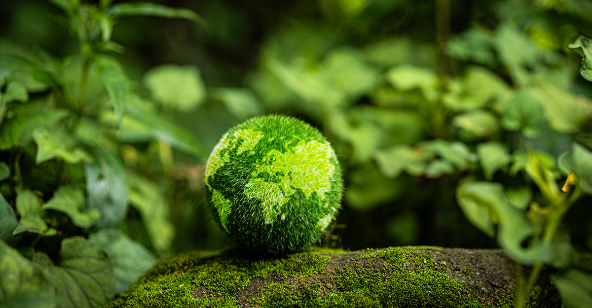 Greenops und Business Software