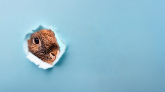 SAP-Osterbrunch 2026 SAP Osterbrunch