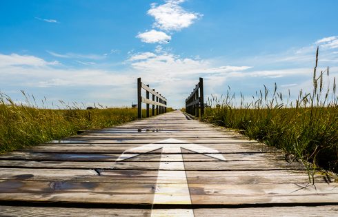 SAP S/4HANA-Migration