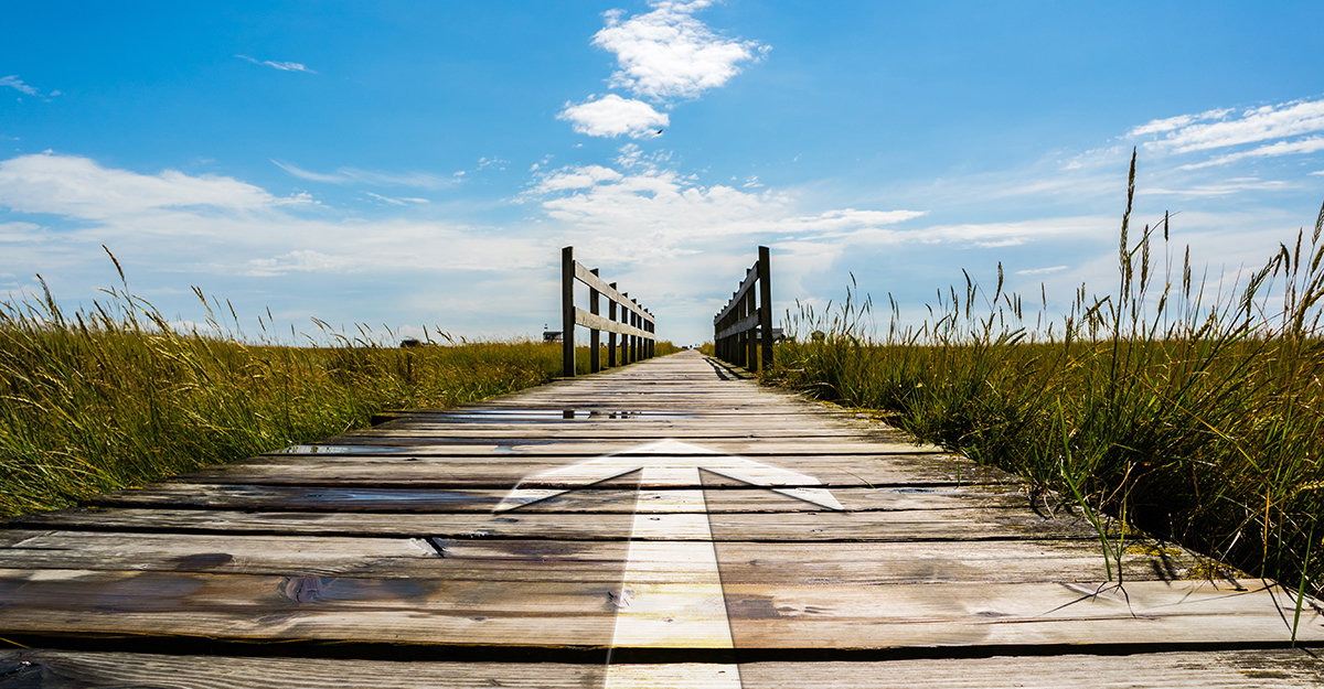 SAP S/4HANA-Migration