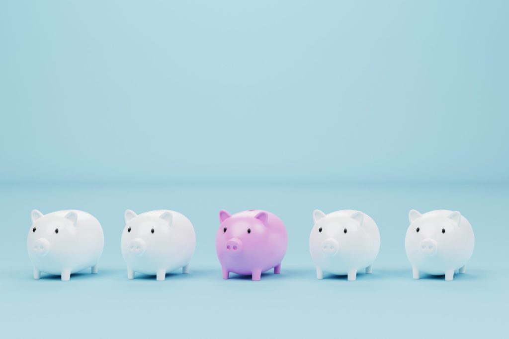Finanz- und Rechnungswesen