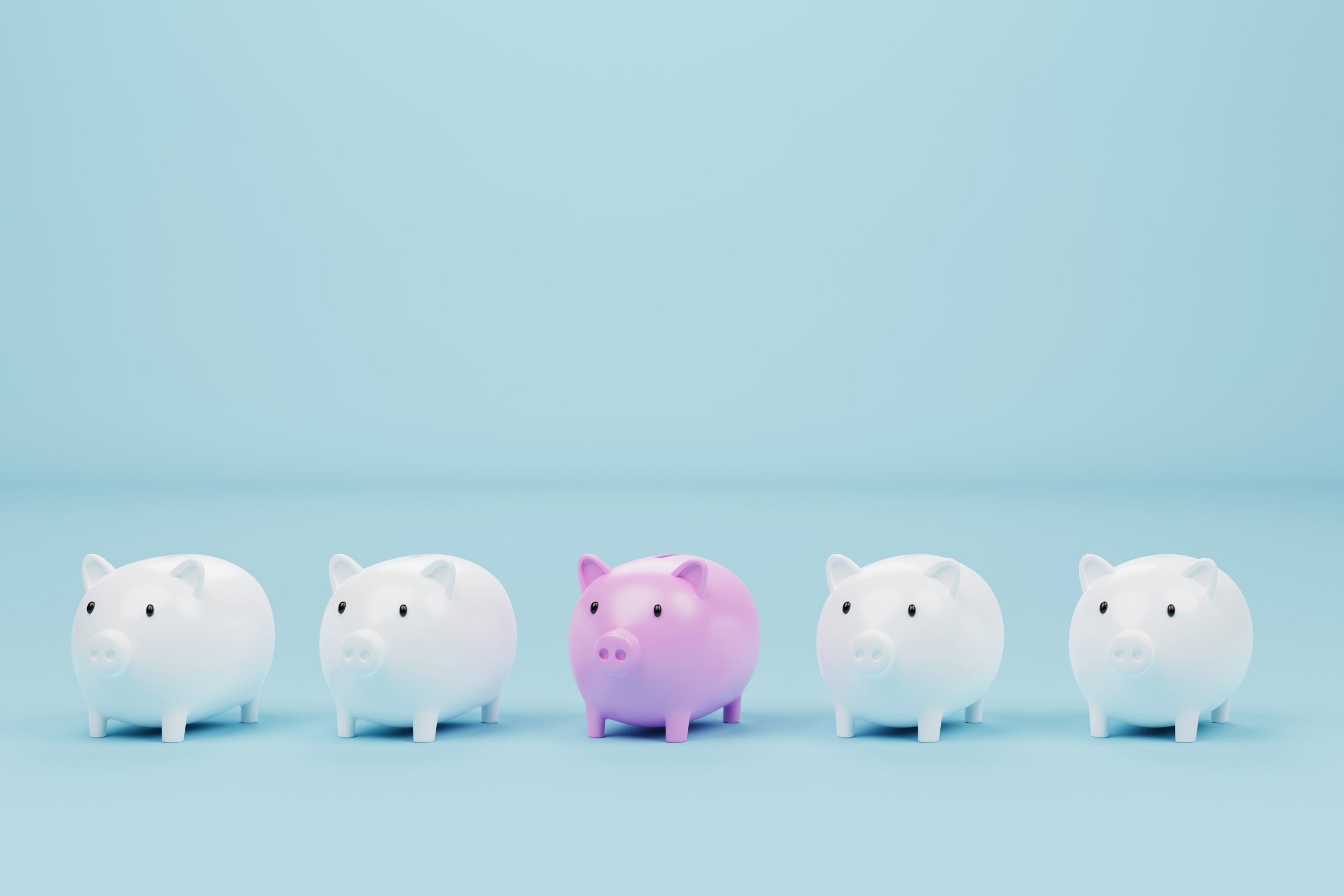 Finanz- und Rechnungswesen