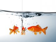 IT-Trends 2018: Risiken und Chancen für Unternehmen