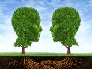 Theorie und Praxis der Software-Entwicklung vereinen