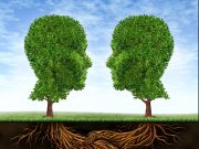 Gebündelte SAP-HANA-Kompetenz