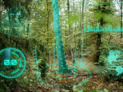 Künstliche Intelligenz unterstützt die Förster