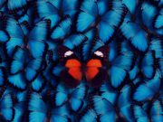 Produktkonfiguratoren bringen neun Vertriebsvorteile