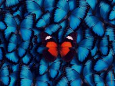 Produktkonfiguratoren bringen neun Vertriebsvorteile