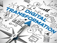 Fünf Phasen der Transformation