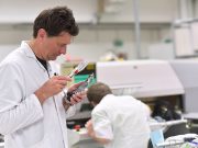 Gute Prognosen für die deutsche Technologie-Branche tech-branche