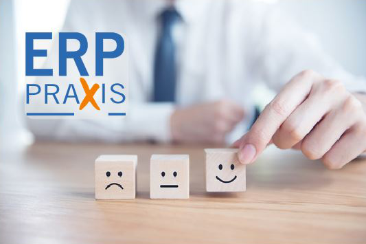 Was kostet ein ERP-Projekt? ERP in der Praxis